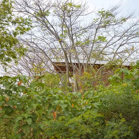 Lake Mwamba Lodge Kasenda Exterior photo